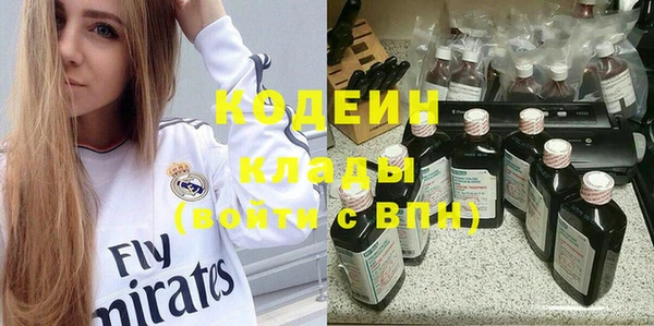 твердый Вяземский