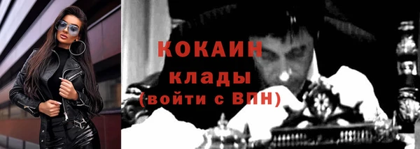 твердый Вяземский