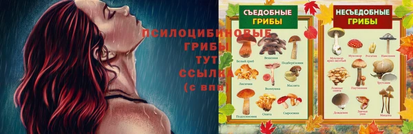 твердый Вяземский