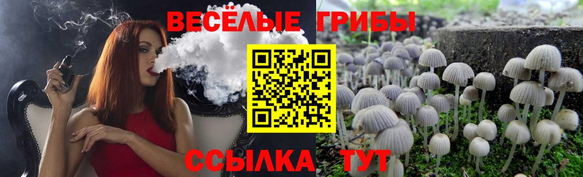 Галлюциногенные грибы MAGIC MUSHROOMS  Минеральные Воды  наркотики  Галлюциногенные грибы прущие грибы 