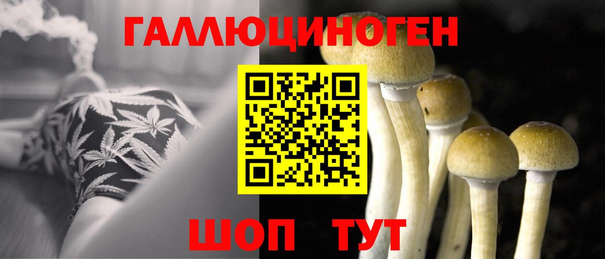 Галлюциногенные грибы прущие грибы  Вход с VPN  Минеральные Воды  Псилоцибиновые грибы прущие грибы 